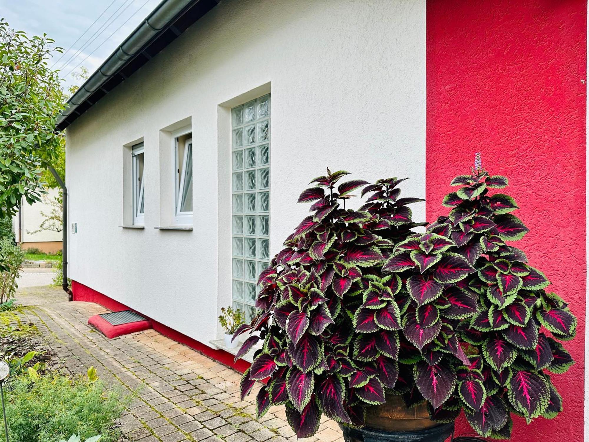 ☆Gemuetliche 1-Zimmerwohnung Mit Terrasse☆ Rielingshausen Exterior photo